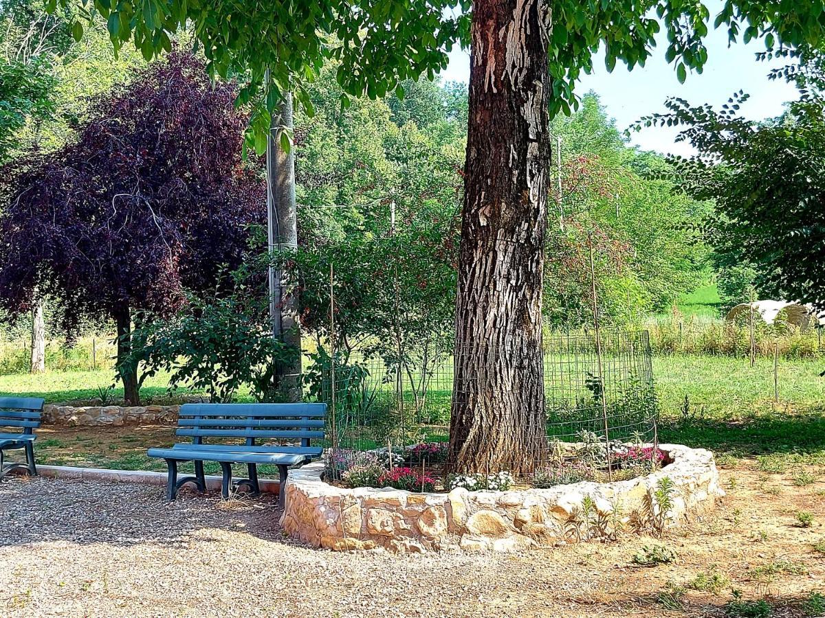 Agriturismo Azienda Agricola Ferrari M.Rita Pozza Buitenkant foto