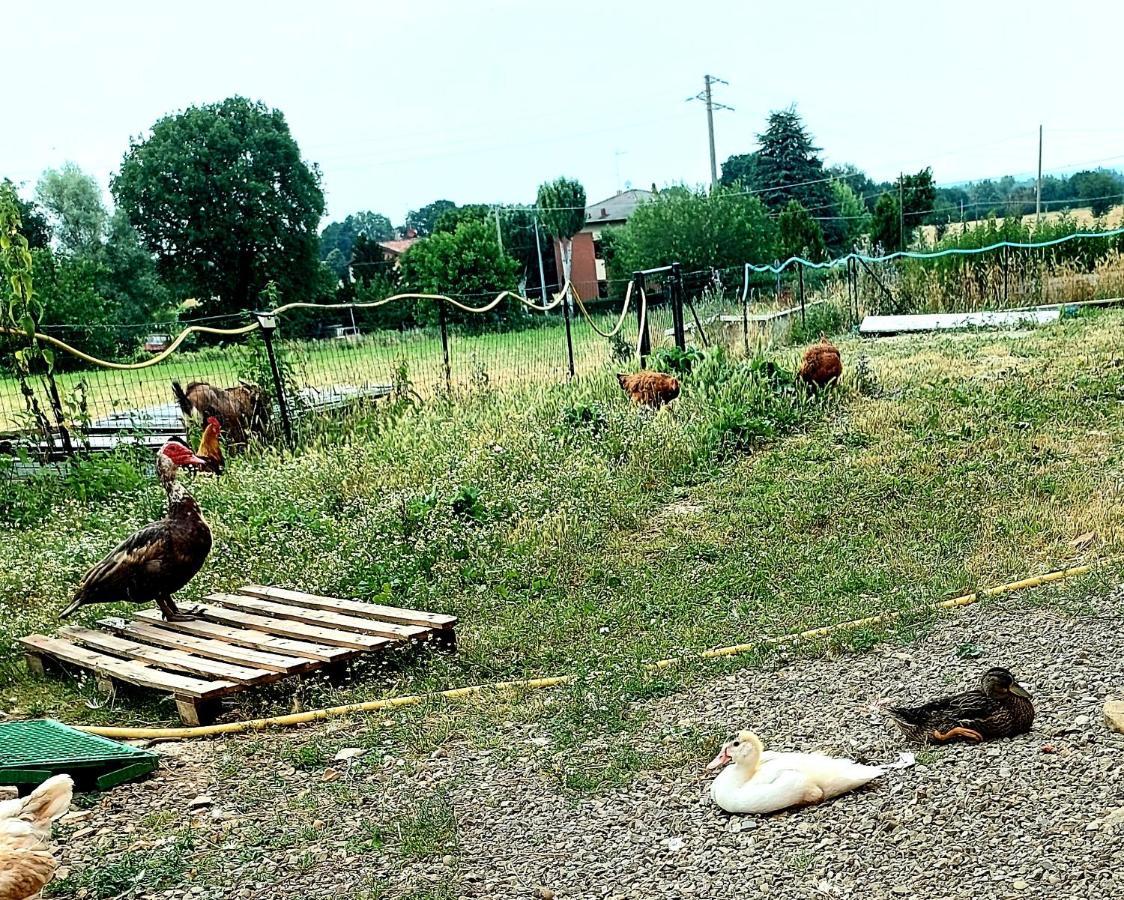 Agriturismo Azienda Agricola Ferrari M.Rita Pozza Buitenkant foto